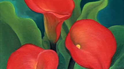 Calla lily